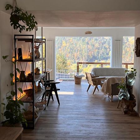 Shard Boutique Hotel-Adult Only Braşov Buitenkant foto