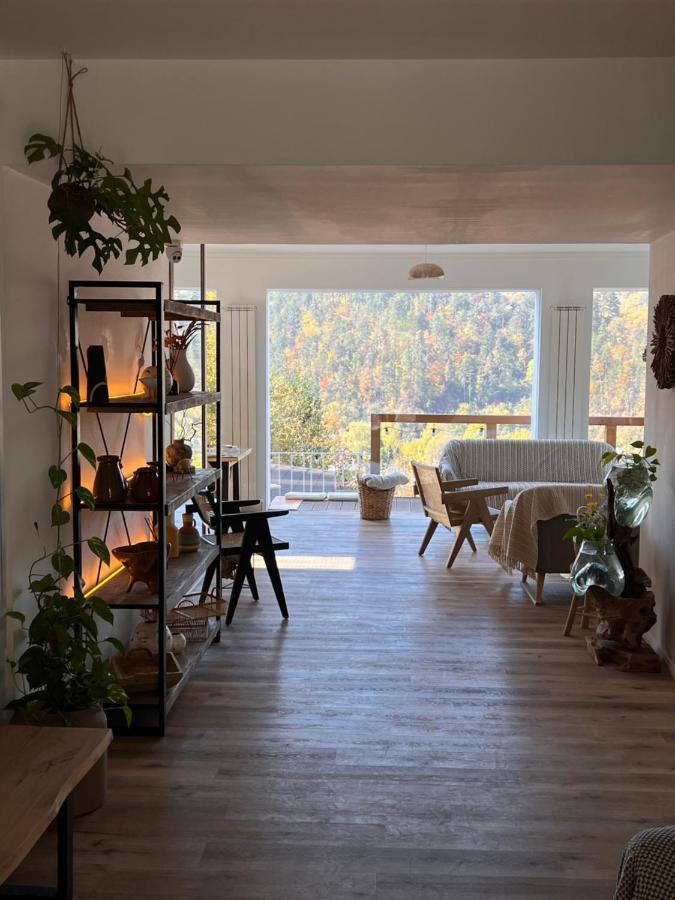 Shard Boutique Hotel-Adult Only Braşov Buitenkant foto