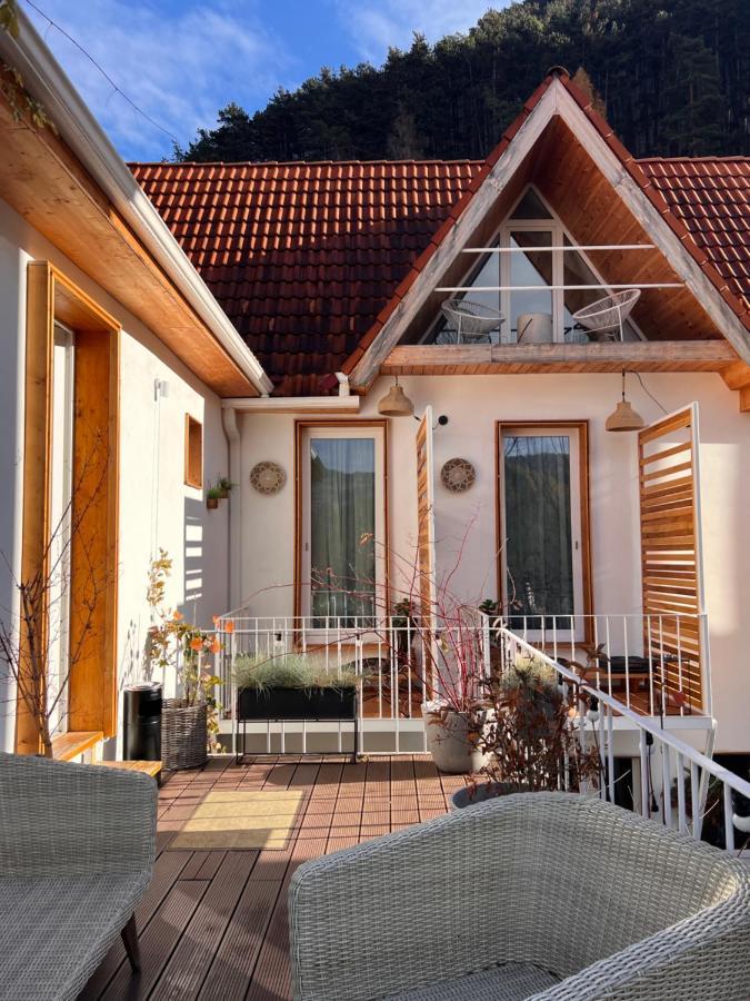 Shard Boutique Hotel-Adult Only Braşov Buitenkant foto