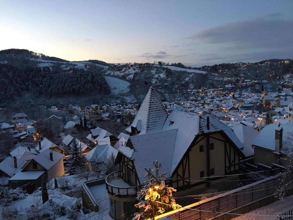 Shard Boutique Hotel-Adult Only Braşov Buitenkant foto